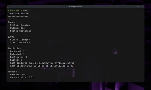 Health command output
